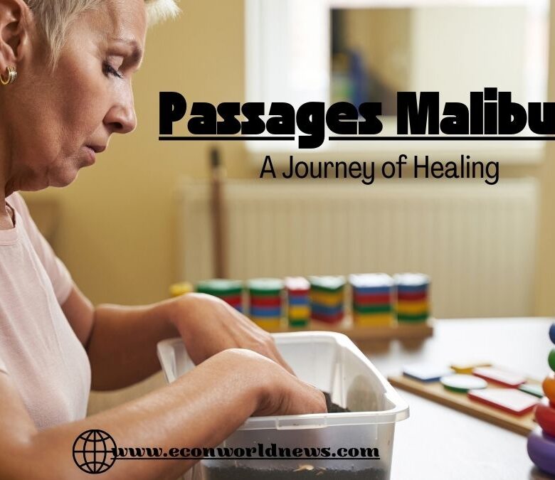 passages malibu logo